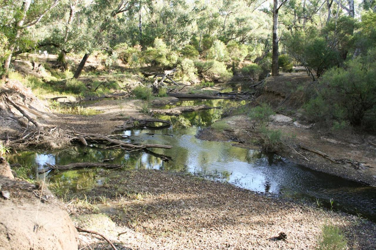 Barrabup Sanctuary Birdhide Villa Nannup Exterior photo